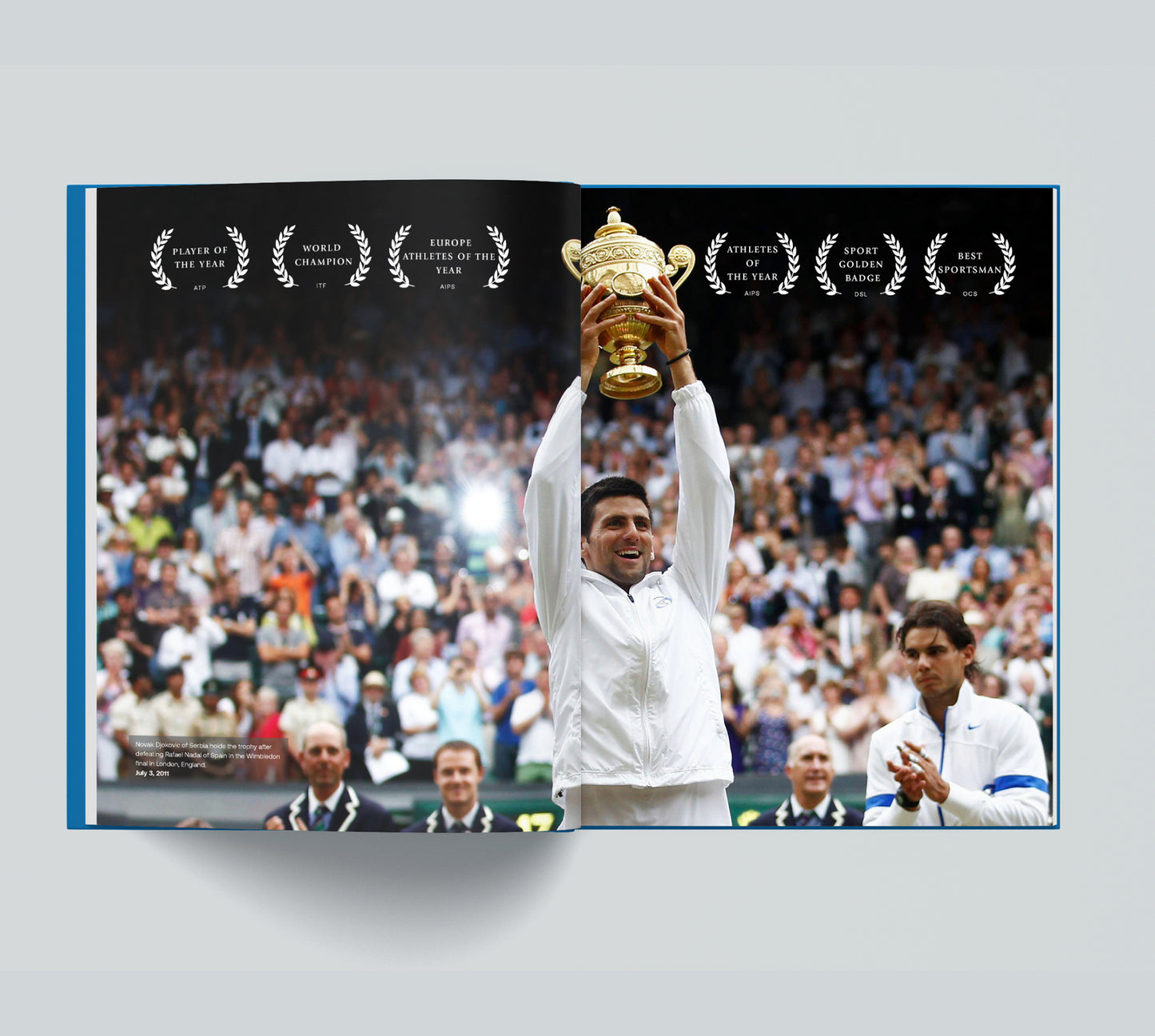 Novak Djokovic 2011: only available in sets